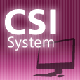 CSI SYSTEM